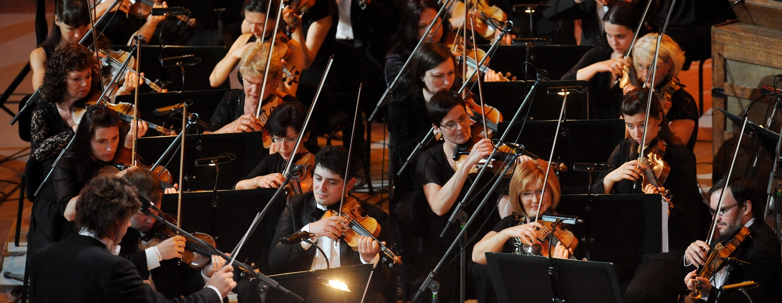 orkestris.jpg